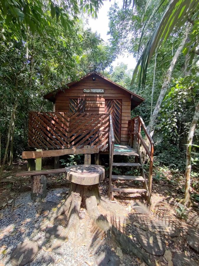 Отель Refugio Samauma Манаус Экстерьер фото