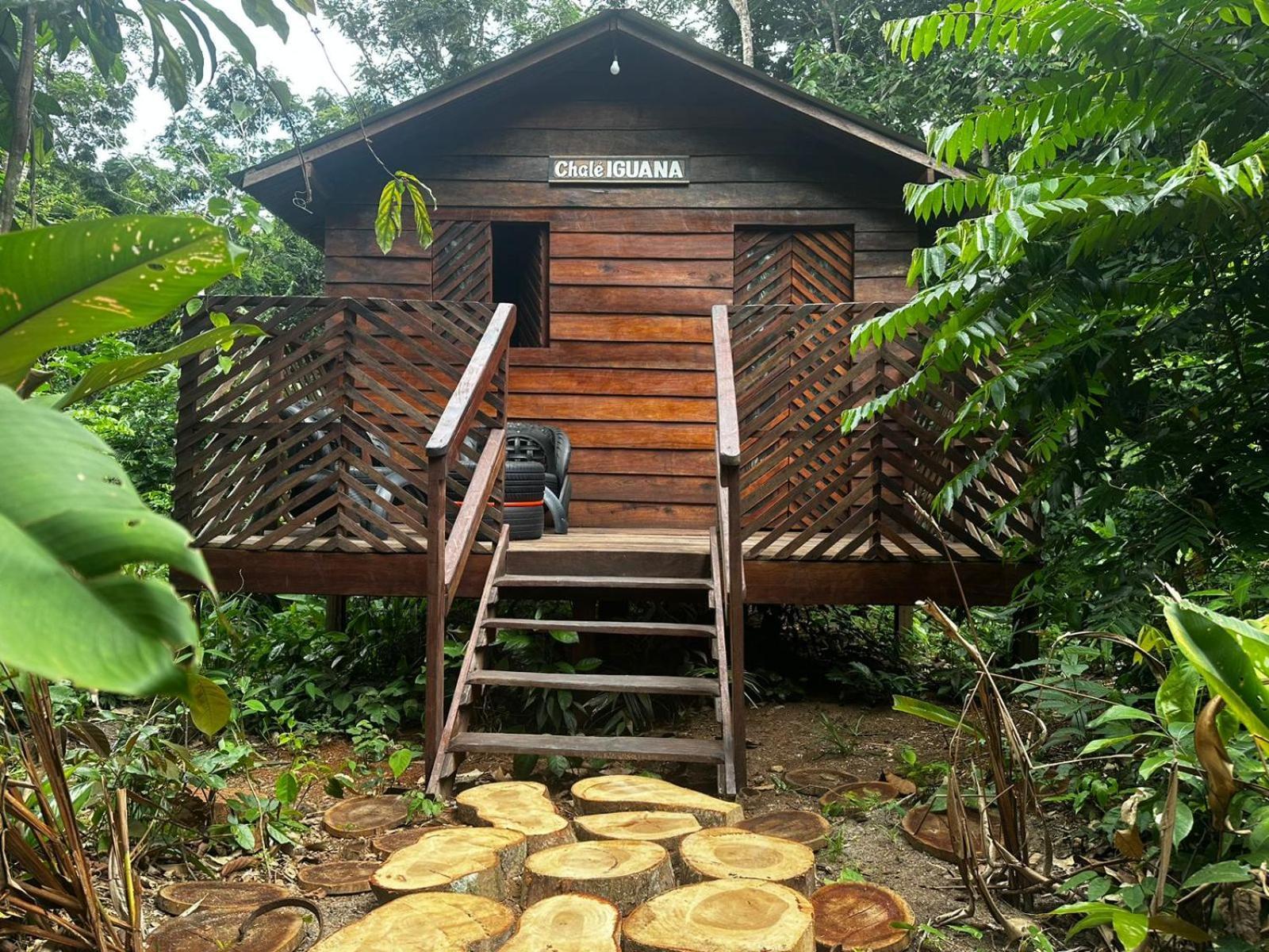 Отель Refugio Samauma Манаус Экстерьер фото
